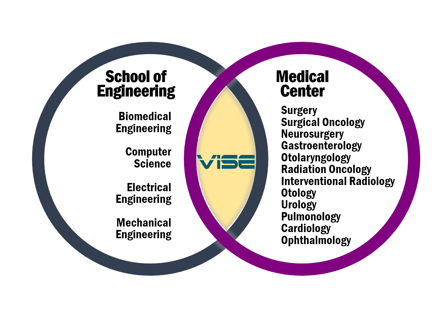 SOE-VISE-Graphic